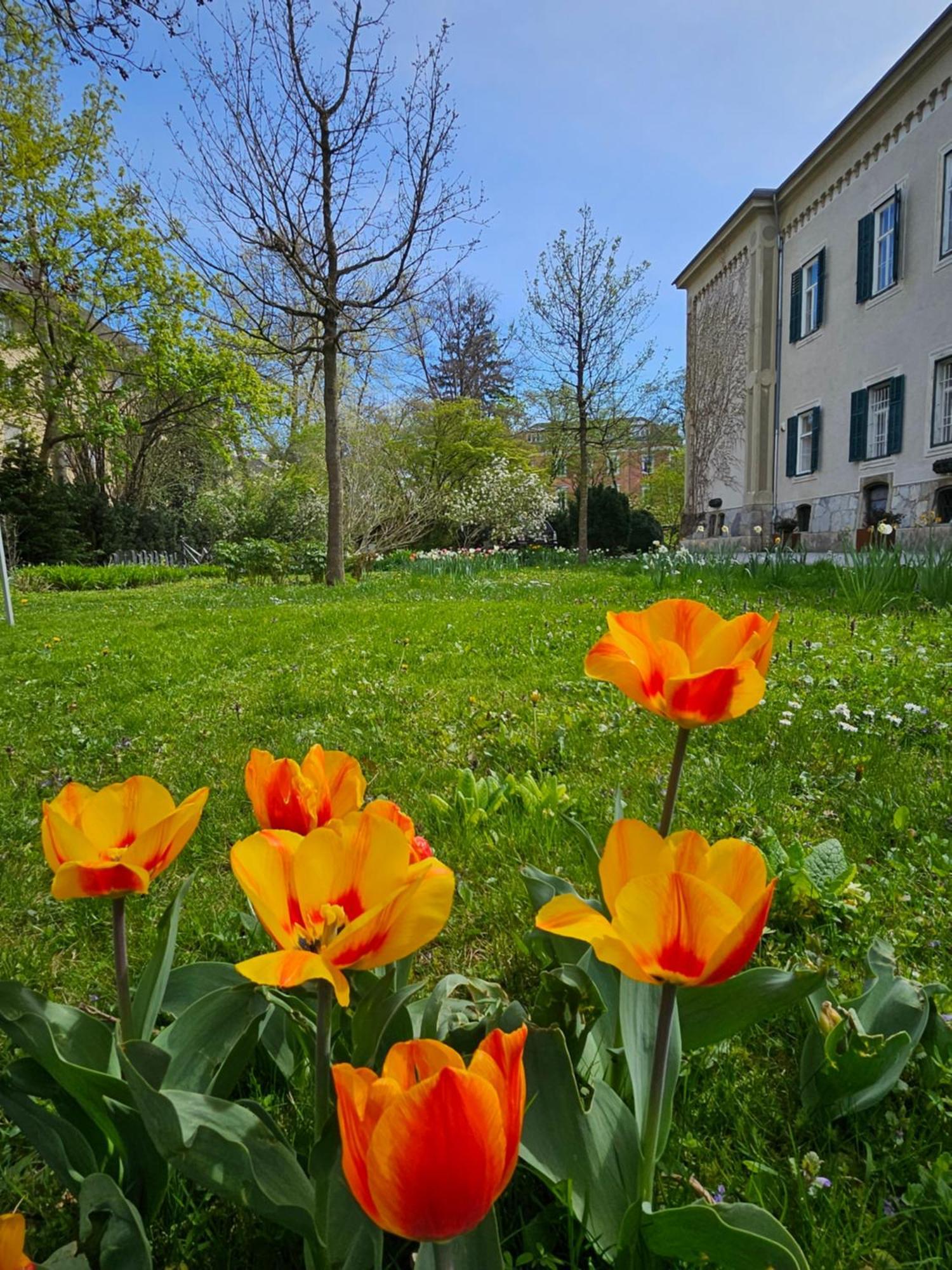 Yellow Flat By Grazrentals With Best Location & Free Parking 외부 사진
