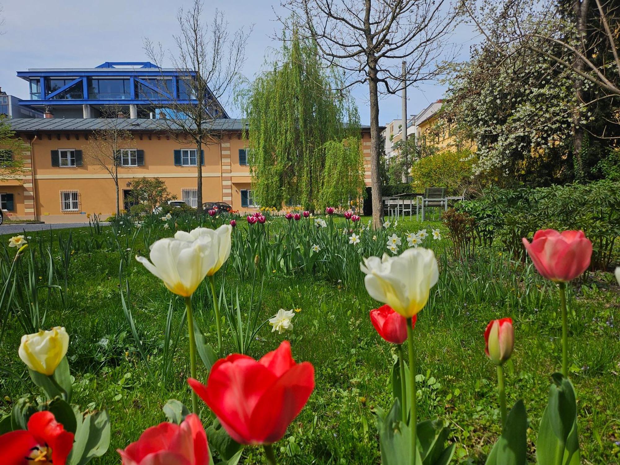 Yellow Flat By Grazrentals With Best Location & Free Parking 외부 사진
